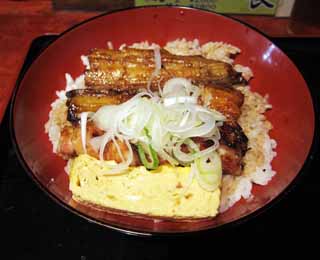 photo, la matire, libre, amnage, dcrivez, photo de la rserve,Un bol d'anguille grille sur le riz cuit, Une anguille, , , omelette