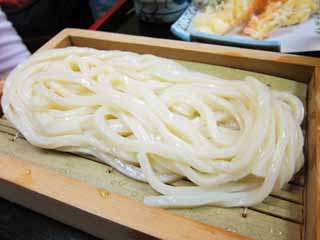 ,,, ,,,udon ., ., ., , 