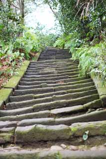 , , , , ,  .,Zuisen-ji   stairway, Chaitya,  - , ,    