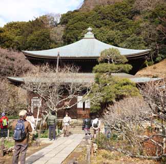 Foto, materieel, vrij, landschap, schilderstuk, bevoorraden foto,Zuisen-ji Temple Buddhist heiligdom, Chaitya, Zen Boeddhisme-zoals tuin, Kamakura, Literatuur van de vijf Zen tempelen