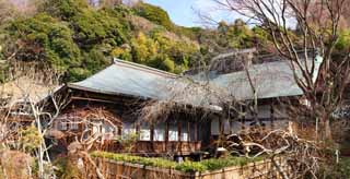 Foto, materiell, befreit, Landschaft, Bild, hat Foto auf Lager,Zuisen-ji Temple-Studium, Chaitya, Zen Buddhismus-wie Garten, Kamakura, Literatur der fnf Zentempel