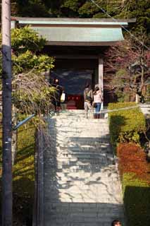fotografia, materiale, libero il panorama, dipinga, fotografia di scorta,Un approccio di EgaraTenjin-shaShrine ad un sacrario, Sacrario scintoista, prenda a sassate scalinata, Kamakura, Irriti Tenjin