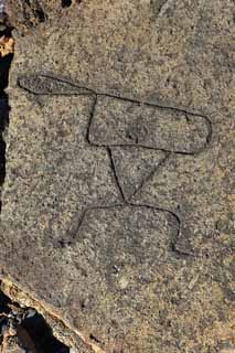 ,,, ,,,Petroglyph Puako., .,  ., Petroglyph., - kii kaha.