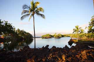 photo,material,free,landscape,picture,stock photo,Creative Commons,MaunaLani fish pound, Lava, An altar, pond, Fishery
