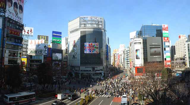 photo, la matire, libre, amnage, dcrivez, photo de la rserve,Shibuya intersection libre, foule, marcheur, autobus, enseigne