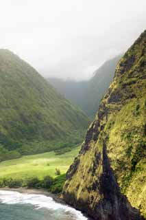 foto,tela,gratis,paisaje,fotografa,idea,La Isla de Hawaii Waimanu Valley, , , , 