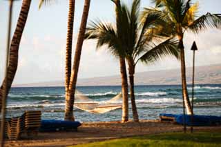 Foto, materieel, vrij, landschap, schilderstuk, bevoorraden foto,Hangmat Hawaii Island, , , , 