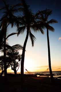 Foto, materieel, vrij, landschap, schilderstuk, bevoorraden foto,Hawaii Island beach, , , , 