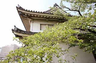 fotografia, material, livra, ajardine, imagine, proveja fotografia,Castelo de Osaka Inuiyagura, , , , 