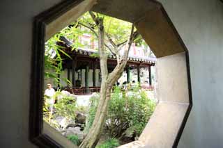 photo,material,free,landscape,picture,stock photo,Creative Commons,Lingering Garden window, , , , 