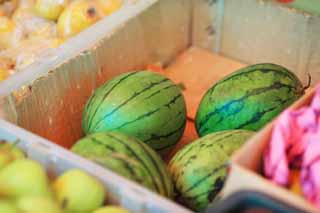 photo,material,free,landscape,picture,stock photo,Creative Commons,Watermelon stalls, , , , 