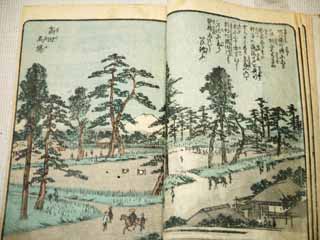 Foto, materiell, befreit, Landschaft, Bild, hat Foto auf Lager,Bilderbuch Edo Souvenirs, , , , 