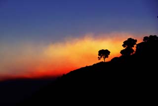 photo,material,free,landscape,picture,stock photo,Creative Commons,Smoke in evening, Smoke, The setting sun, tree, silhouette