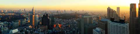 fotografia, material, livra, ajardine, imagine, proveja fotografia,Uma vista panormica do pr-do-sol Shinjuku, , , , 