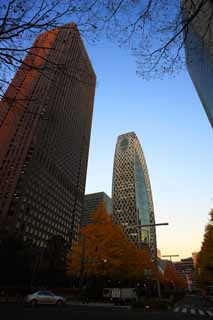 foto,tela,gratis,paisaje,fotografa,idea,Shinjuku edificio alto del anochecer, , , , 