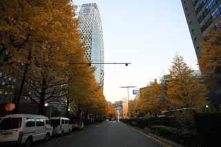 Foto, materiell, befreit, Landschaft, Bild, hat Foto auf Lager,Shinjuku Hochhaus der Dmmerung, , , , 