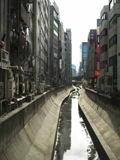 photo,material,free,landscape,picture,stock photo,Creative Commons,Shibuya River, , , , 