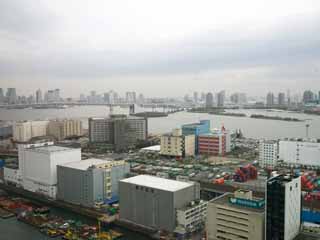 , , , , ,  .,Tokyo Bay, , , , 