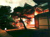 fotografia, material, livra, ajardine, imagine, proveja fotografia,Arquitetura japonesa  noite, , , , 