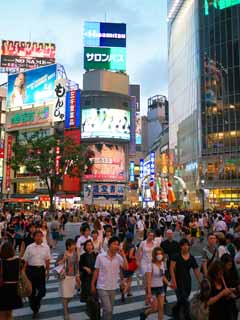 Foto, materieel, vrij, landschap, schilderstuk, bevoorraden foto,Het snijpunt van Shibuya, , , , 