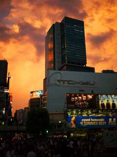 photo,material,free,landscape,picture,stock photo,Creative Commons,Sunset a glowing Shibuya, , , , 