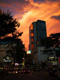 Foto, materieel, vrij, landschap, schilderstuk, bevoorraden foto,Zonsondergang een gloeiende Shibuya, , , , 