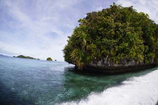 Foto, materieel, vrij, landschap, schilderstuk, bevoorraden foto,Palauan eilanden, Blauwe lucht, Woud, Eiland, Golf