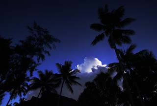 foto,tela,gratis,paisaje,fotografa,idea,La nube que puede brillar de un pas del sur, Cocotero, Nube, Lasi, Cielo azul