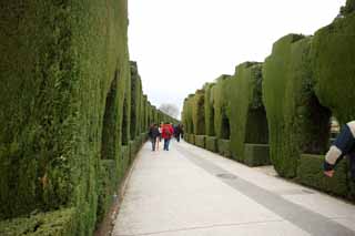 Foto, materiell, befreit, Landschaft, Bild, hat Foto auf Lager,Alhambra, , , , 