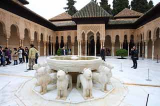 fotografia, material, livra, ajardine, imagine, proveja fotografia,Palcio de Alhambra Lion ptio, , , , 
