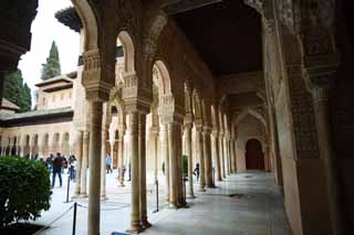 Foto, materiell, befreit, Landschaft, Bild, hat Foto auf Lager,Alhambra Lion Terrasse, , , , 