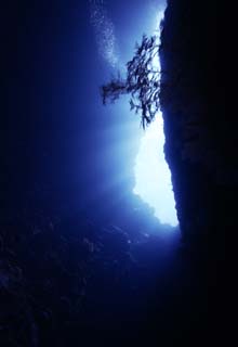 fotografia, material, livra, ajardine, imagine, proveja fotografia,Entre em uma caverna subaqutica, caverna, bolha, Azul, No mar