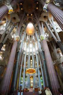 foto,tela,gratis,paisaje,fotografa,idea,La Sagrada Familia, , , , 
