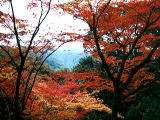 Foto, materieel, vrij, landschap, schilderstuk, bevoorraden foto,Herfst kleur en een berg, , , , 