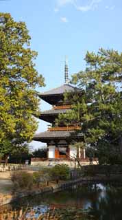 Foto, materieel, vrij, landschap, schilderstuk, bevoorraden foto,Hokiji tempel, , , , 