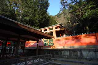 photo,material,free,landscape,picture,stock photo,Creative Commons,Kasuga Taisha Shrine, , , , 