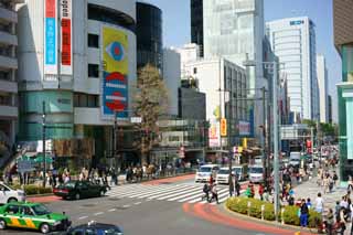 photo,material,free,landscape,picture,stock photo,Creative Commons,Harajuku Omotesando, , , , 