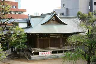 photo,material,free,landscape,picture,stock photo,Creative Commons,Hatomori Hachiman Shrine, , , , 