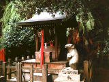 Foto, materieel, vrij, landschap, schilderstuk, bevoorraden foto,Heiligdom van een Jap dansende muis, , , , 