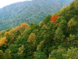 fotografia, material, livra, ajardine, imagine, proveja fotografia,Outono parte na montanha, , , , 