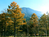 photo,material,free,landscape,picture,stock photo,Creative Commons,Mt. Nantaisan and autumn trees, , , , 