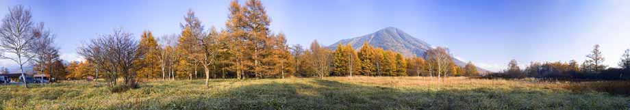 photo,material,free,landscape,picture,stock photo,Creative Commons,Senjogahara in late fall, Mt. male figure, Colored leaves, Panoramcomposition, Panorama