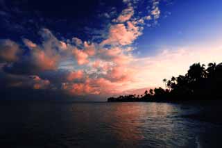 foto,tela,gratis,paisaje,fotografa,idea,Es una playa de noche, Playa arenosa, Anochecer, Lasi, Nube de planta ms loca