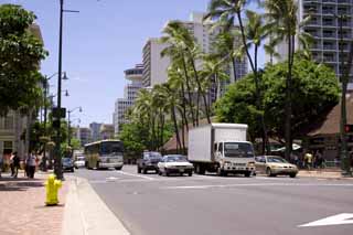 photo,material,free,landscape,picture,stock photo,Creative Commons,According to Waikiki, coconut tree, bus, truck, building