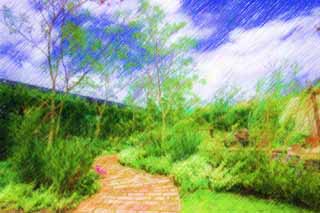 illustration,material,free,landscape,picture,painting,color pencil,crayon,drawing,A gardening path, Gardening, brick, , garden tree