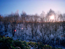 photo, la matire, libre, amnage, dcrivez, photo de la rserve,Soleil au-del un bois du commencement hivernal, montagne, ciel bleu, , 