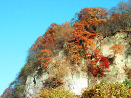 photo,material,free,landscape,picture,stock photo,Creative Commons,Precipice in autumn, autumn leaves, , , 