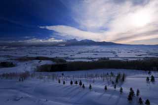 fotografia, materiale, libero il panorama, dipinga, fotografia di scorta,Mattina di Furano, campo nevoso, montagna, albero, campo