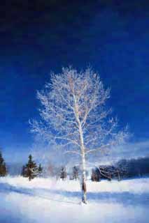 illustration,material,free,landscape,picture,painting,color pencil,crayon,drawing,The rime on trees and a blue sky, blue sky, The rime on trees, snowy field, white birch