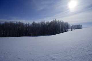 Foto, materiell, befreit, Landschaft, Bild, hat Foto auf Lager,Ein schneebedecktes Feld, blauer Himmel, Es ist schneebedeckt, schneebedecktes Feld, Die Sonne